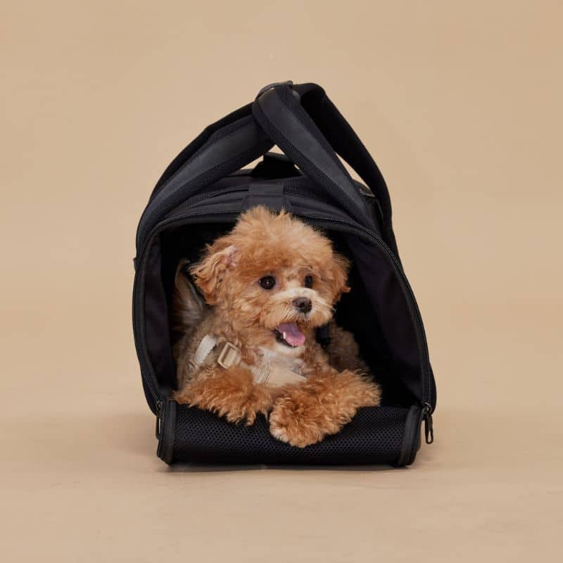 SAC DE TRANSPORT POUR CHIEN ET CHAT HOMOLOGUÉ AVION - "ONBOARD TRAVEL PET CARRIER" NOIR ✈️ - Image 4
