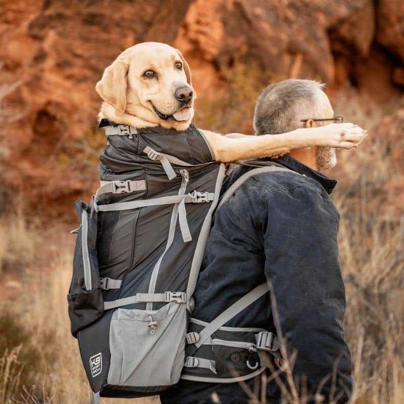SAC À DOS DE TRANSPORT ET RANDONNÉE POUR GRAND CHIEN - KOLOSSUS NOIR - Image 7