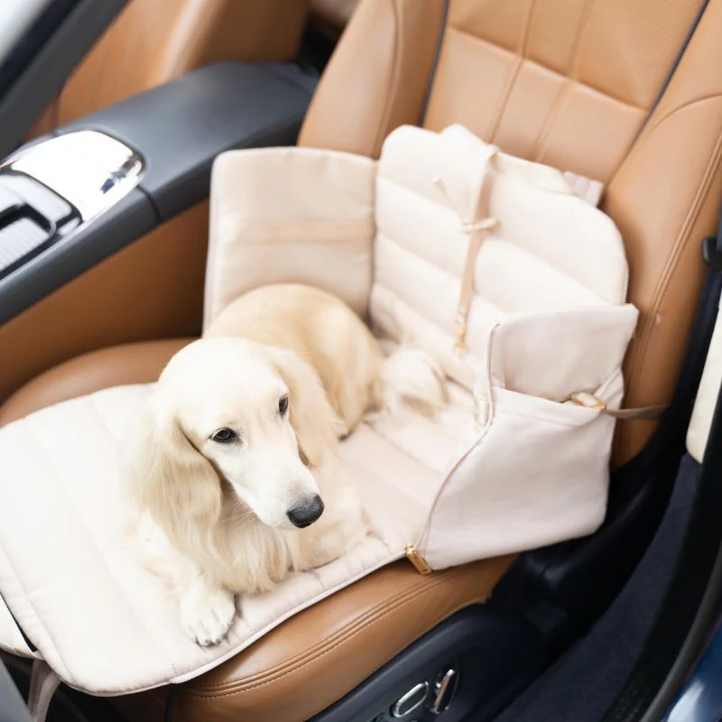 SAC DE TRANSPORT CONVERTIBLE & PLIABLE POUR CHIEN - BEIGE SABLE - Image 3