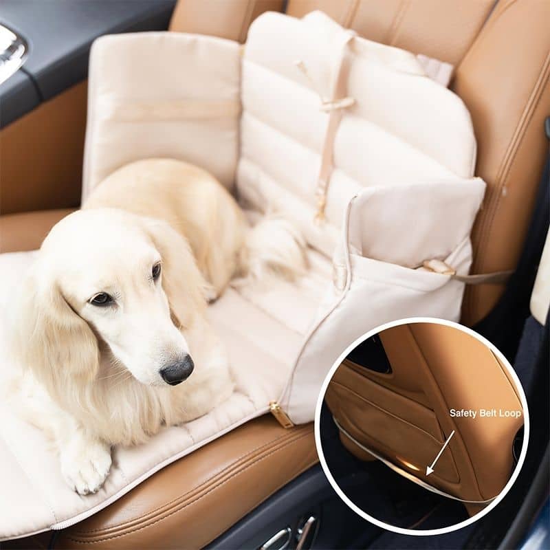SAC DE TRANSPORT CONVERTIBLE & PLIABLE POUR CHIEN - NOIR - Image 6