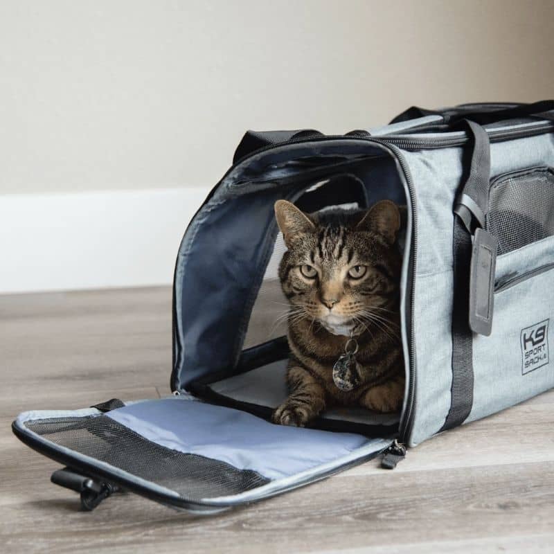 SAC DE TRANSPORT POUR CHIEN ET CHAT HOMOLOGUÉ AVION - GRIS - Image 3