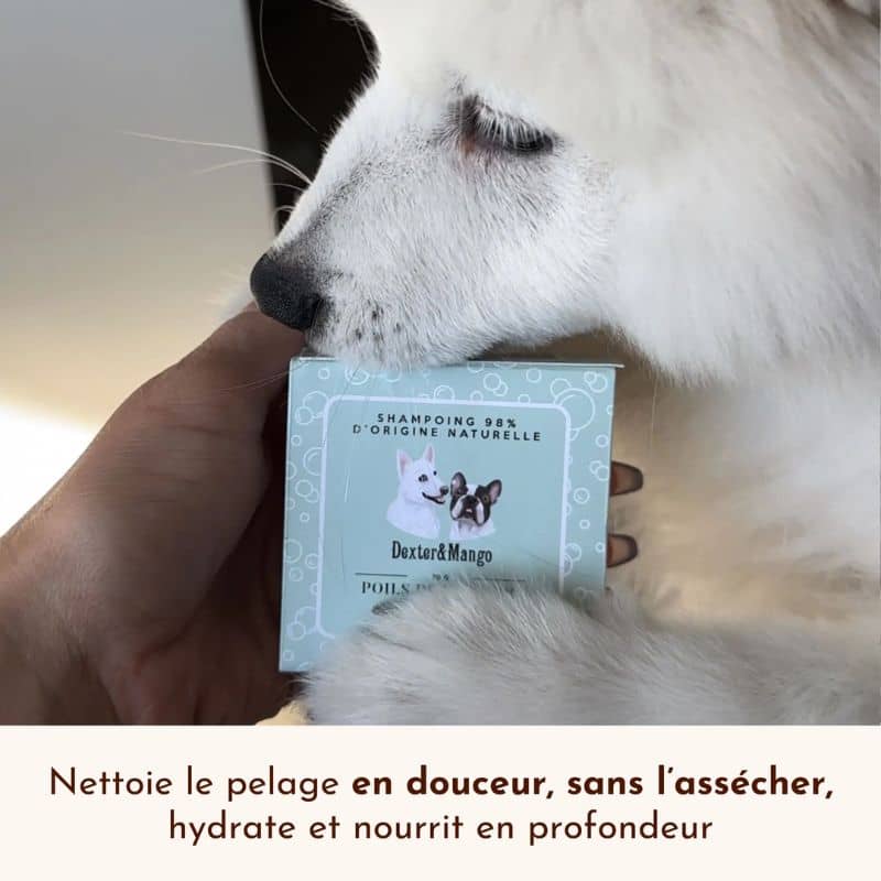 Shampoing solide pour chien Poils de velours - tous pelages - Image 6