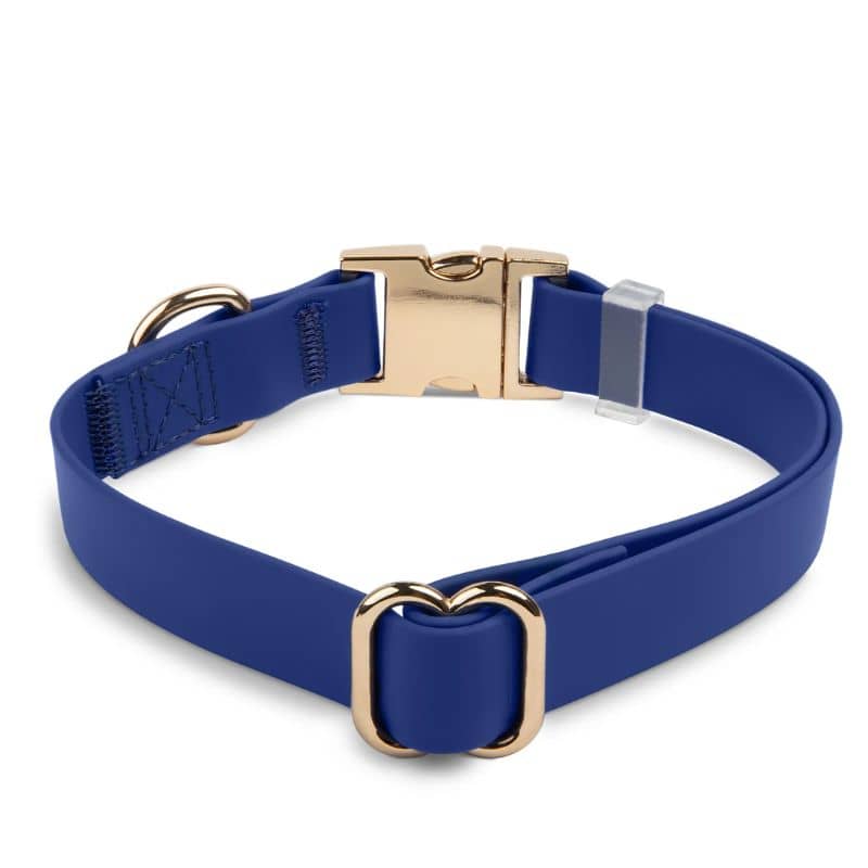 COLLIER POUR CHIEN WATERPROOF - BLEU MARINE "NAVY" - Image 5