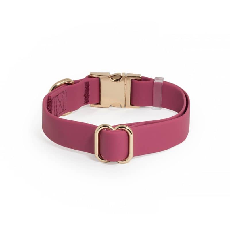 COLLIER POUR CHIEN WATERPROOF - FRAMBOISE - Image 4