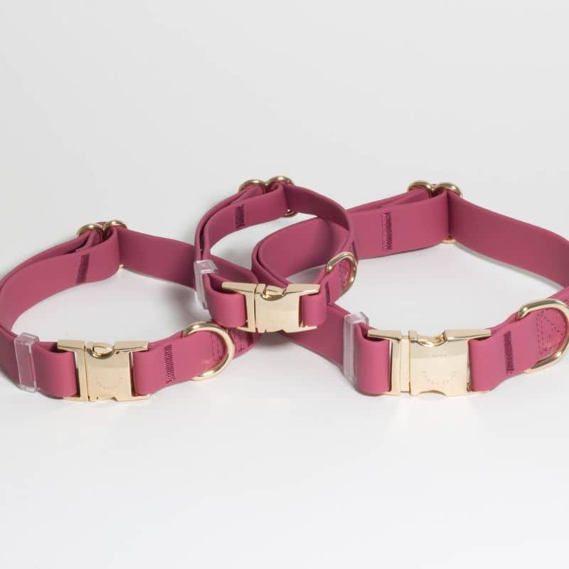 COLLIER POUR CHIEN WATERPROOF - FRAMBOISE - Image 5