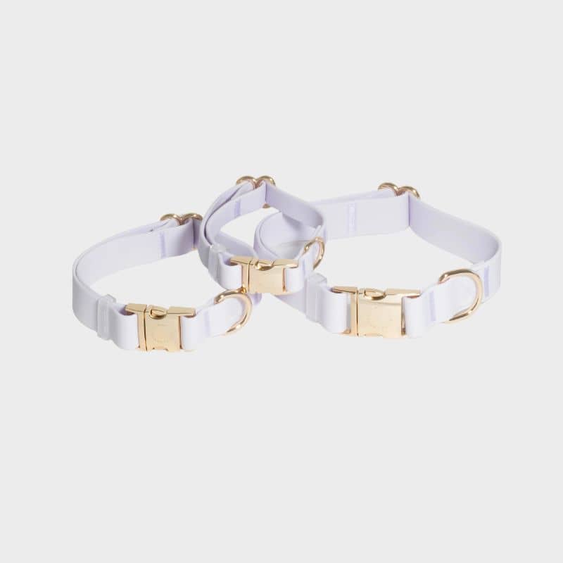 COLLIER POUR CHIEN WATERPROOF - LAVANDE - Image 3
