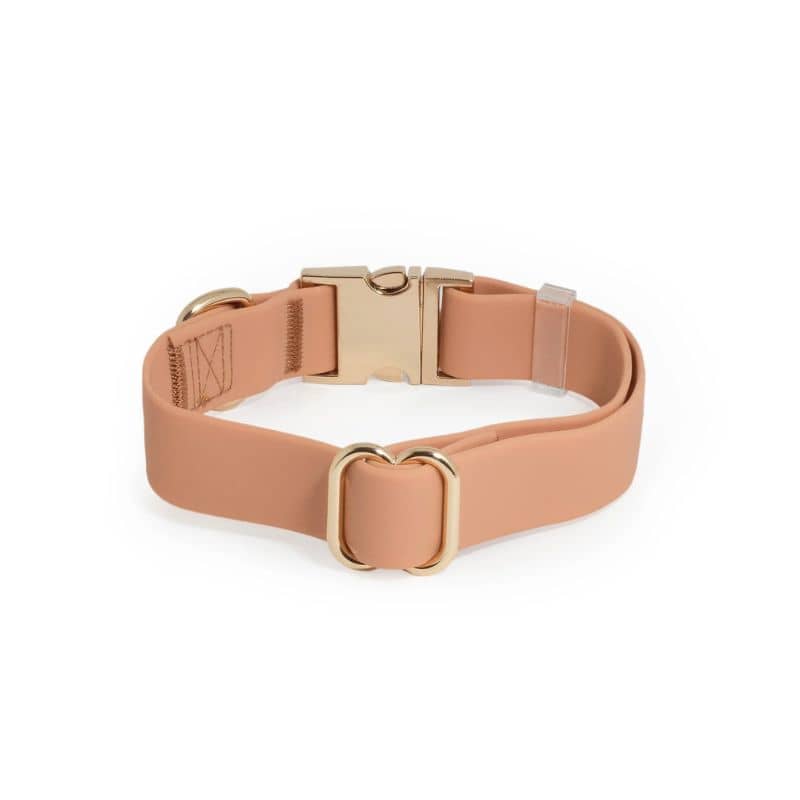 COLLIER POUR CHIEN WATERPROOF - MARRON CHAI - Image 4