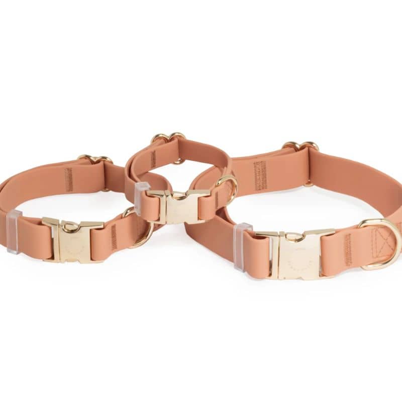 COLLIER POUR CHIEN WATERPROOF - MARRON CHAI - Image 5
