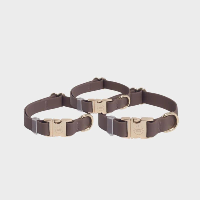 COLLIER POUR CHIEN WATERPROOF - MARRON ESPRESSO - Image 3