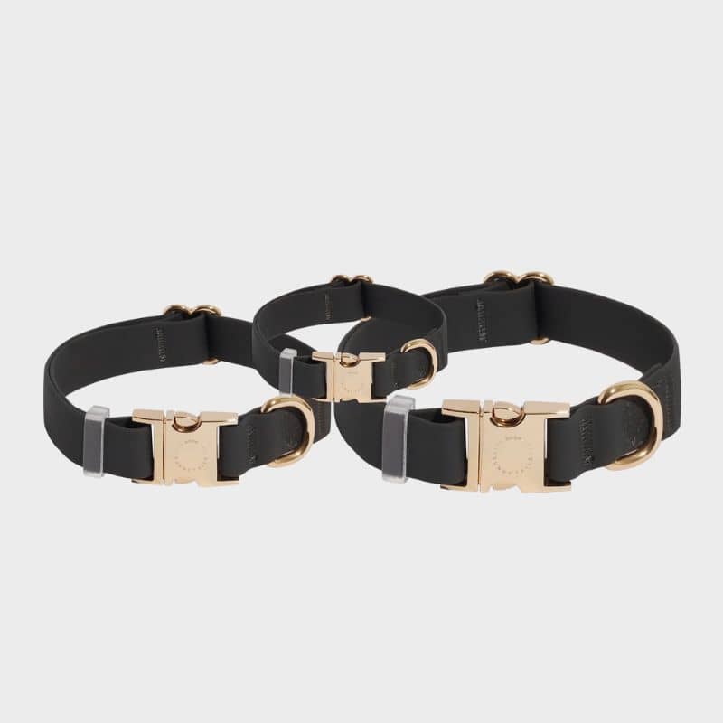 COLLIER POUR CHIEN WATERPROOF - NOIR - Image 4