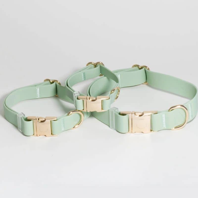 COLLIER POUR CHIEN WATERPROOF - PISTACHE - Image 3