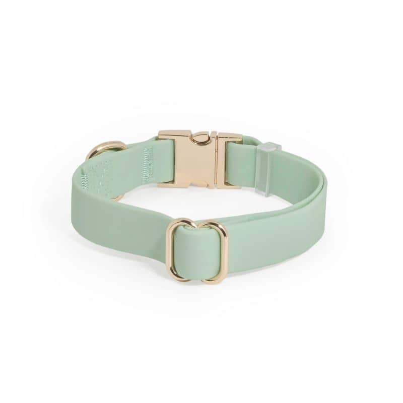 COLLIER POUR CHIEN WATERPROOF - PISTACHE - Image 4