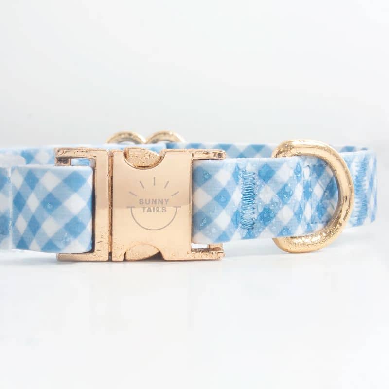 COLLIER POUR CHIEN WATERPROOF - VICHY BLEU - Image 3