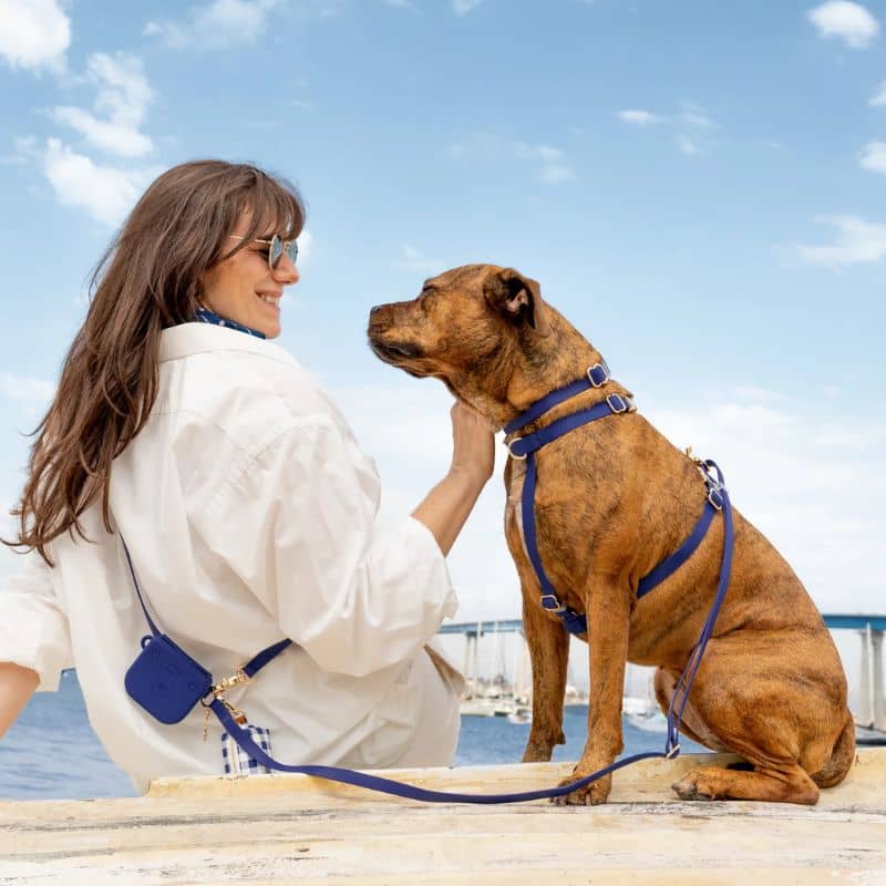 đ HARNAIS POUR CHIEN WATERPROOF - BLEU MARINE "NAVY" *BOUCLES COULEURS* - Image 3