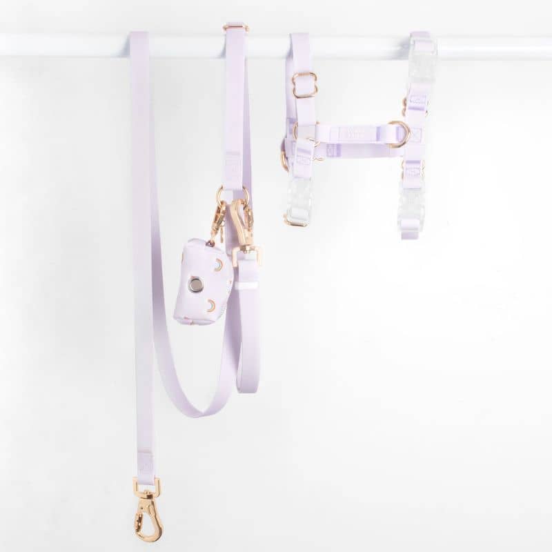 HARNAIS POUR CHIEN WATERPROOF - LAVANDE *BOUCLES TRANSPARENTES* - Image 3