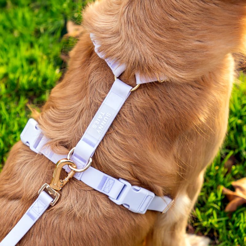 🆕 HARNAIS POUR CHIEN WATERPROOF - LAVANDE *BOUCLES COULEURS* - Image 4