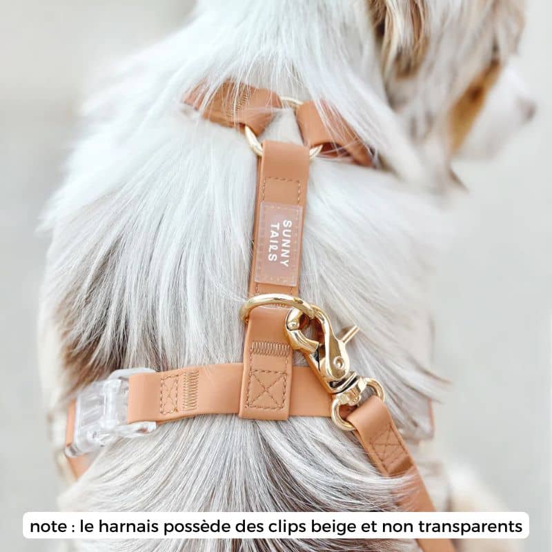 🆕 HARNAIS POUR CHIEN WATERPROOF - MARRON CHAI *BOUCLES COULEURS* - Image 3