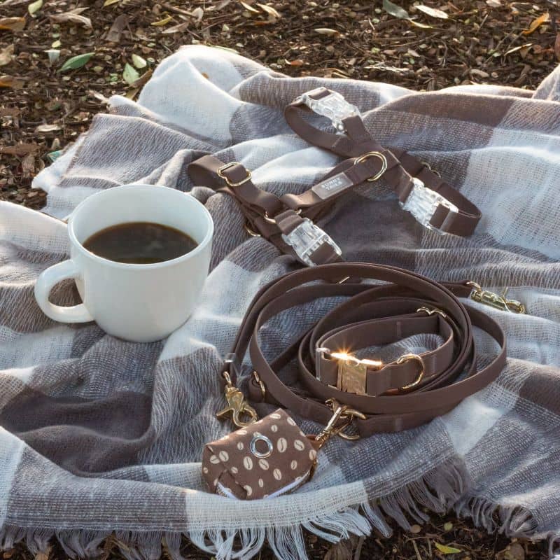 HARNAIS POUR CHIEN WATERPROOF - MARRON ESPRESSO *BOUCLES TRANSPARENTES* - Image 3