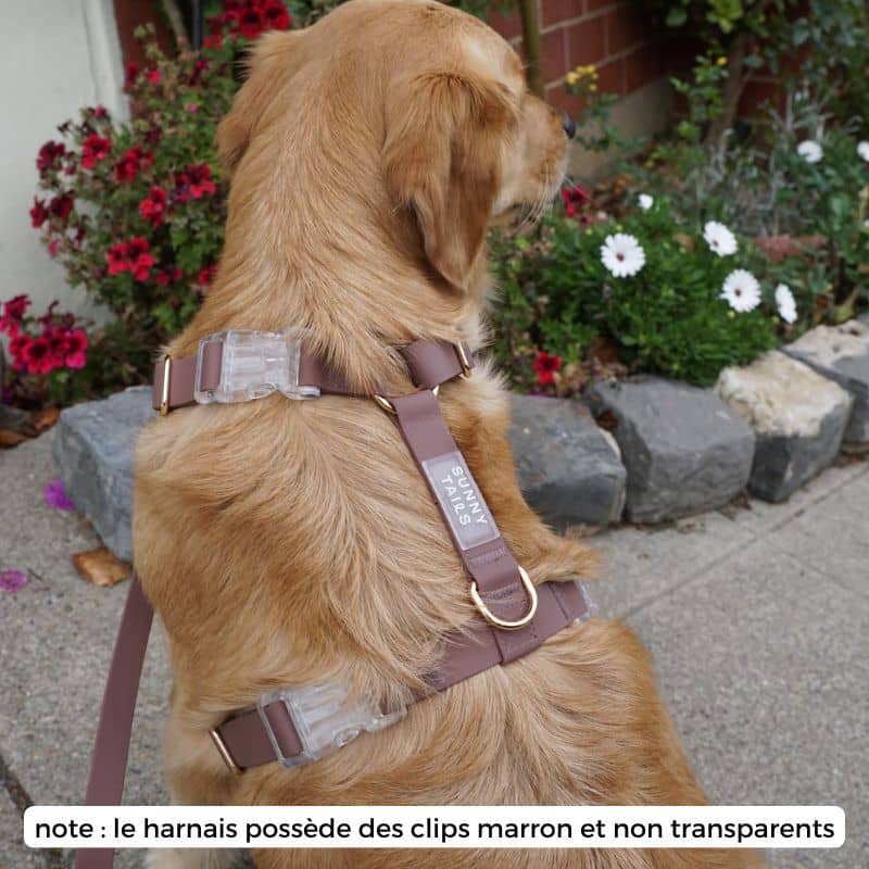 🆕 HARNAIS POUR CHIEN WATERPROOF - MARRON ESPRESSO *BOUCLES COULEURS* - Image 4