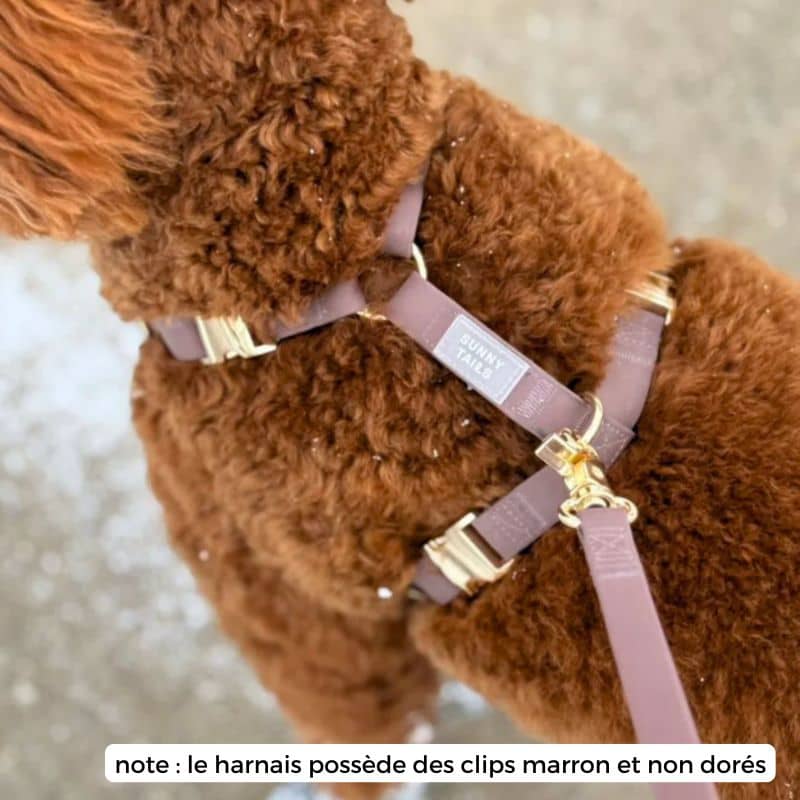 🆕 HARNAIS POUR CHIEN WATERPROOF - MARRON ESPRESSO *BOUCLES COULEURS* - Image 5