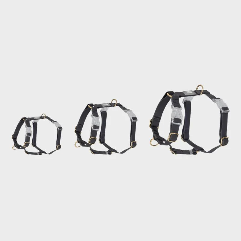 HARNAIS POUR CHIEN WATERPROOF - NOIR *BOUCLES TRANSPARENTES* - Image 6