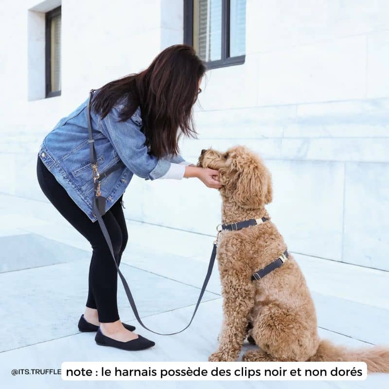 🆕 HARNAIS POUR CHIEN WATERPROOF - NOIR *BOUCLES COULEURS* - Image 3