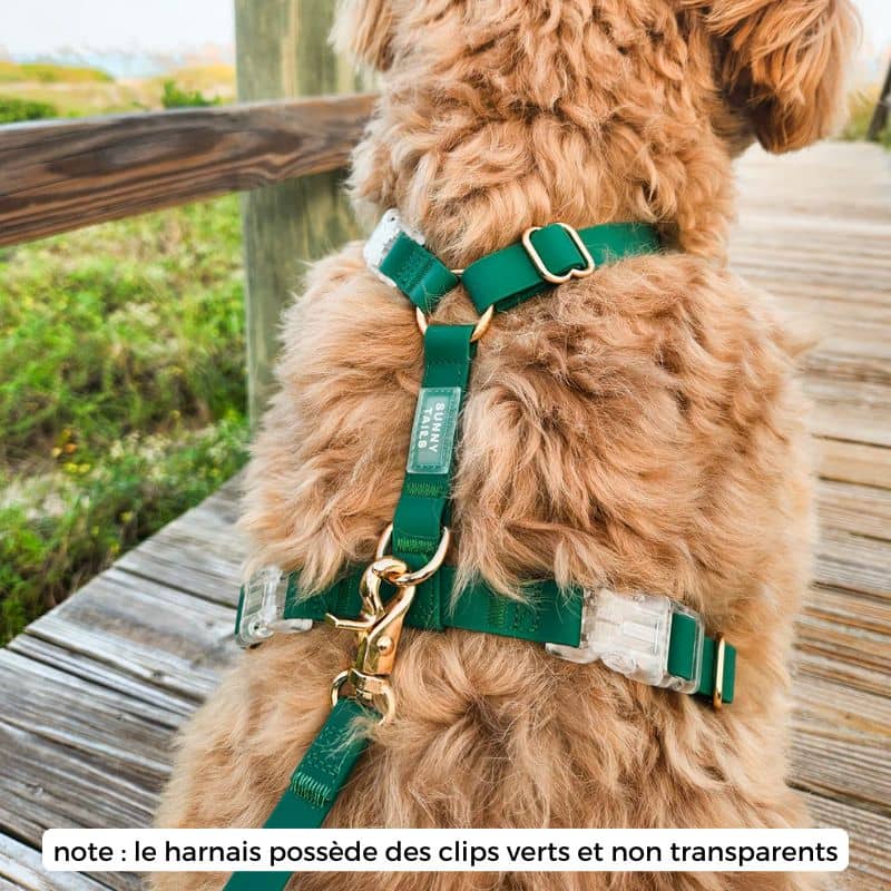 🆕 HARNAIS POUR CHIEN WATERPROOF - VERT *BOUCLES COULEURS* - Image 2