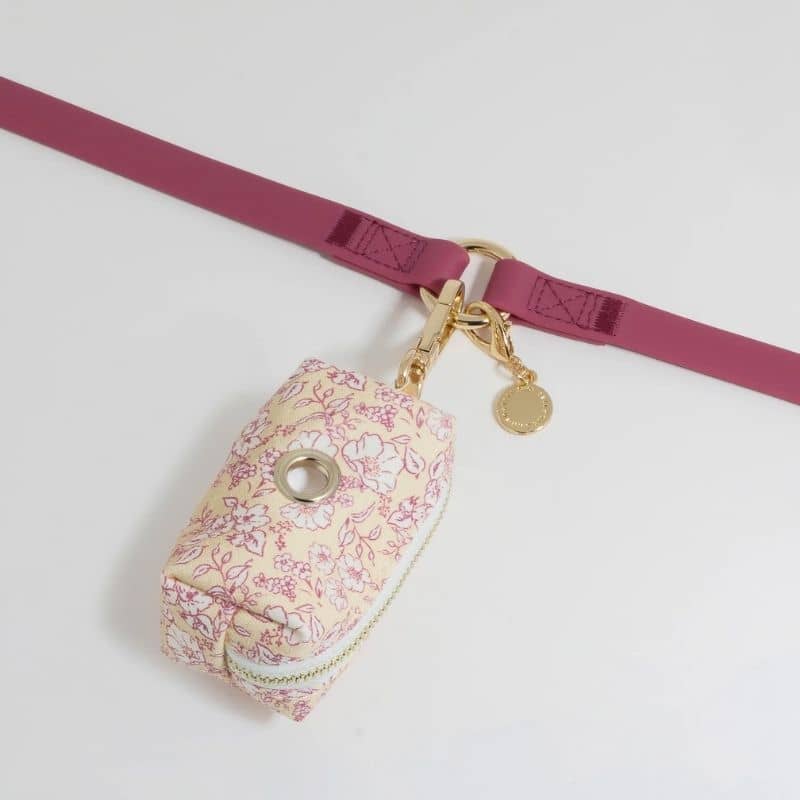 LAISSE POUR CHIEN MULTIPOSITIONS 4 EN 1 CONVERTIBLE WATERPROOF - FRAMBOISE - Image 3
