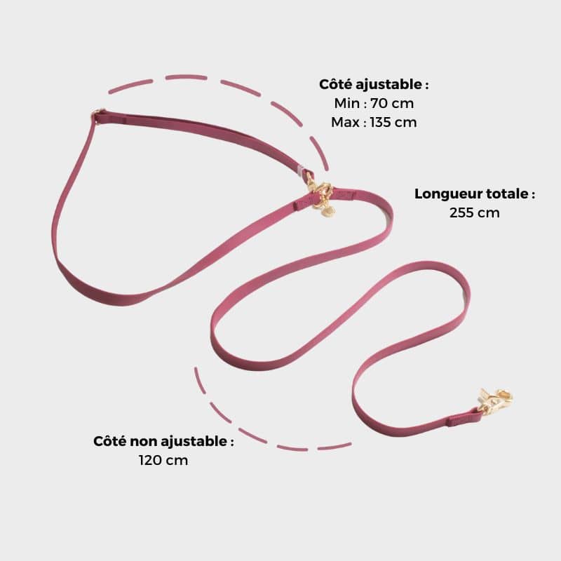 LAISSE POUR CHIEN MULTIPOSITIONS 4 EN 1 CONVERTIBLE WATERPROOF - FRAMBOISE - Image 6