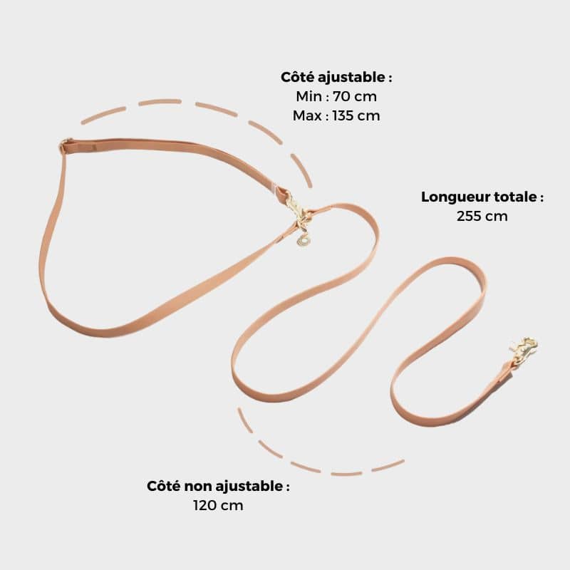 LAISSE POUR CHIEN MULTIPOSITIONS 4 EN 1 CONVERTIBLE WATERPROOF - MARRON CHAI - Image 7
