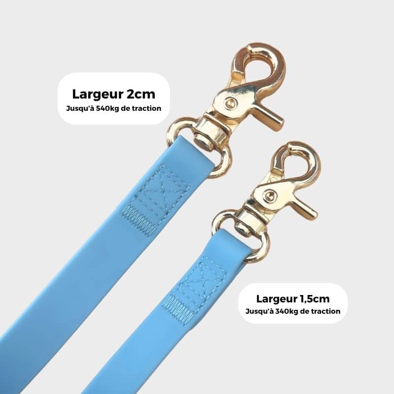LAISSE POUR CHIEN MULTIPOSITIONS 4 EN 1 CONVERTIBLE WATERPROOF - BLEU CIEL - Image 8