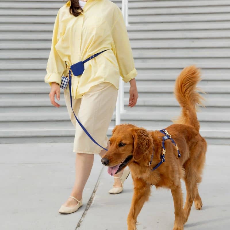 LAISSE POUR CHIEN MULTIPOSITIONS 4 EN 1 CONVERTIBLE WATERPROOF - BLEU MARINE "NAVY" - Image 3