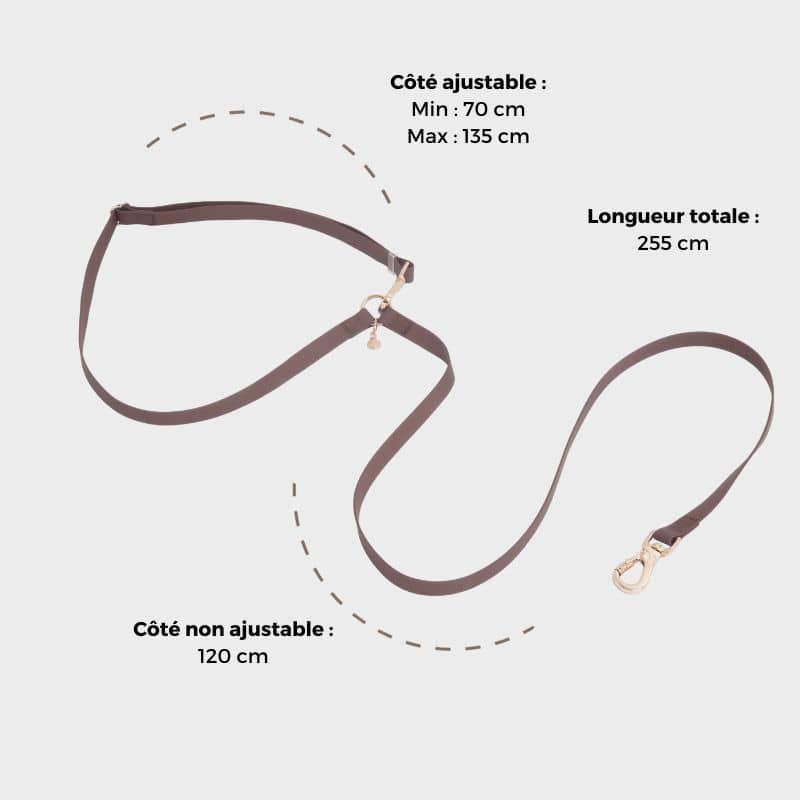 LAISSE POUR CHIEN MULTIPOSITIONS 4 EN 1 CONVERTIBLE WATERPROOF - MARRON ESPRESSO - Image 6