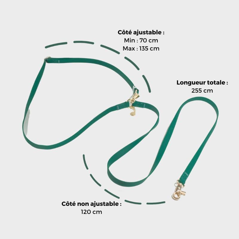 LAISSE POUR CHIEN MULTIPOSITIONS 4 EN 1 CONVERTIBLE WATERPROOF - VERT - Image 6