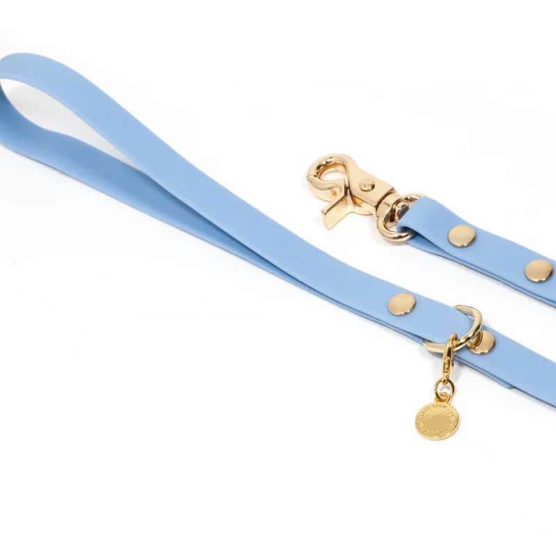 LAISSE POUR CHIEN WATERPROOF - BLEU CIEL - Image 3