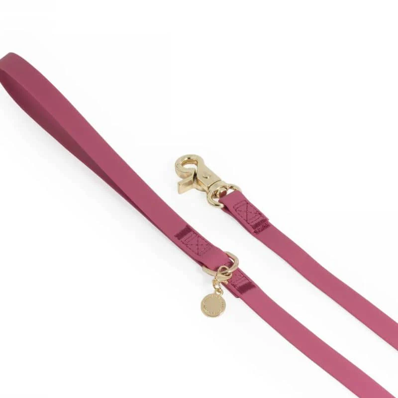 LAISSE POUR CHIEN WATERPROOF - FRAMBOISE - Image 4