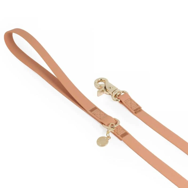 LAISSE POUR CHIEN WATERPROOF - MARRON CHAI - Image 4