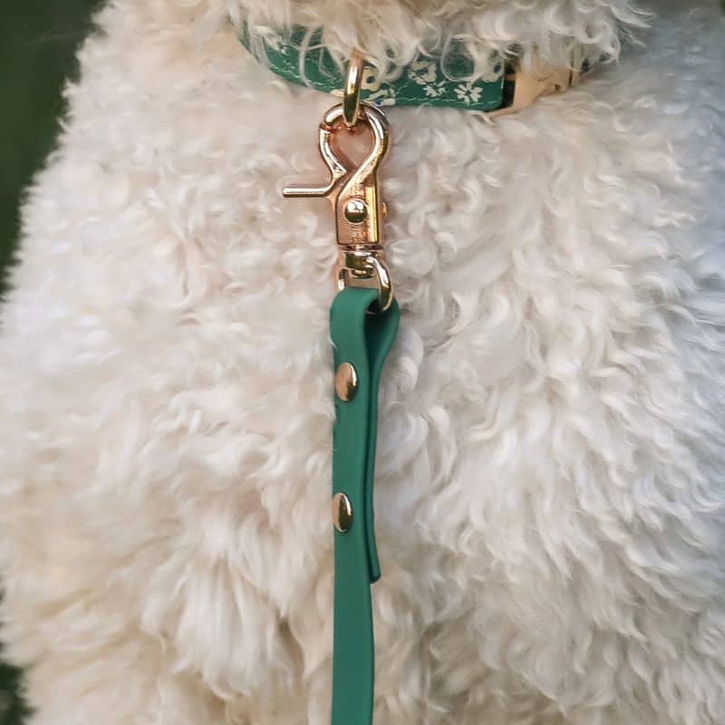 LAISSE POUR CHIEN WATERPROOF - VERT - Image 3