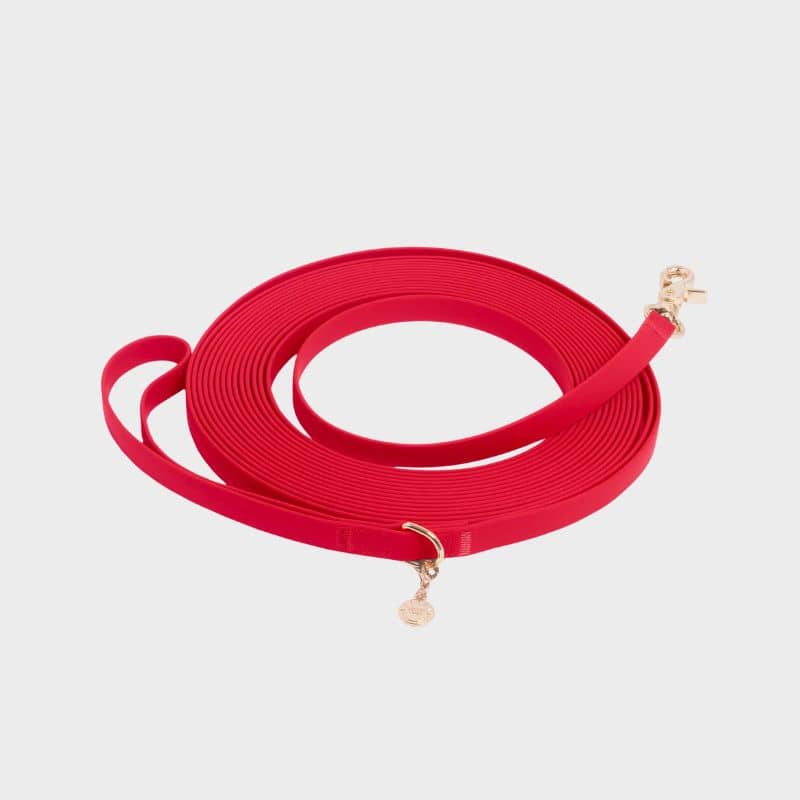 LONGE POUR CHIEN WATERPROOF - 9 MÈTRES (8 COULEURS DISPO) - Image 10