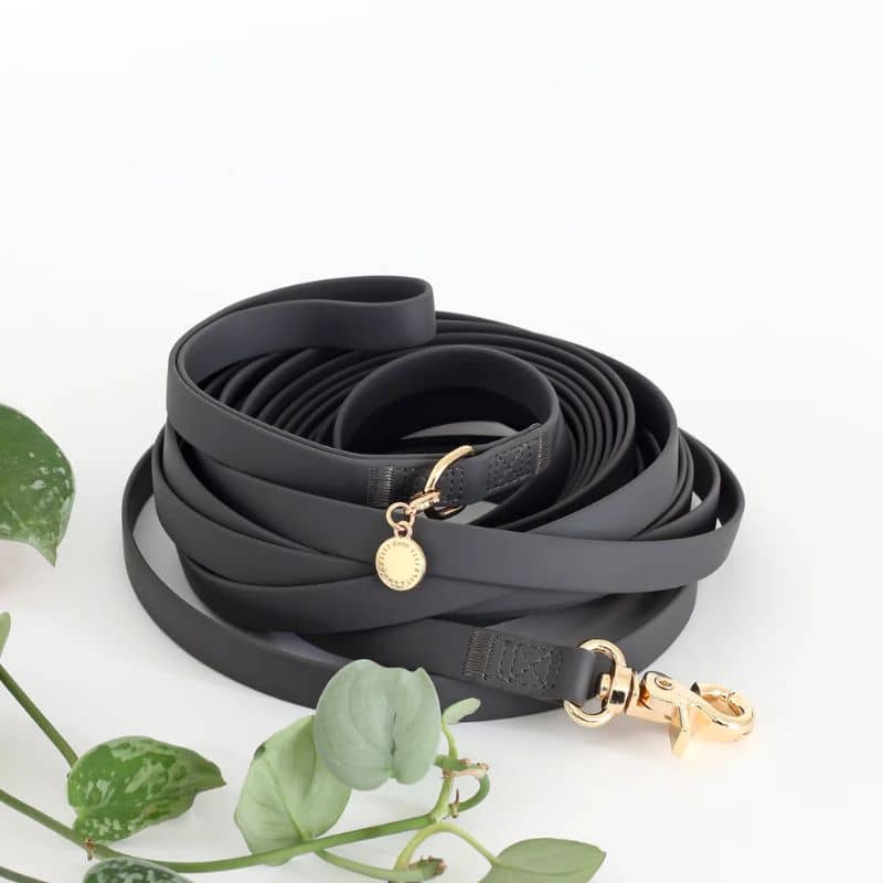 LONGE POUR CHIEN WATERPROOF - 9 MÈTRES (8 COULEURS DISPO) - Image 3