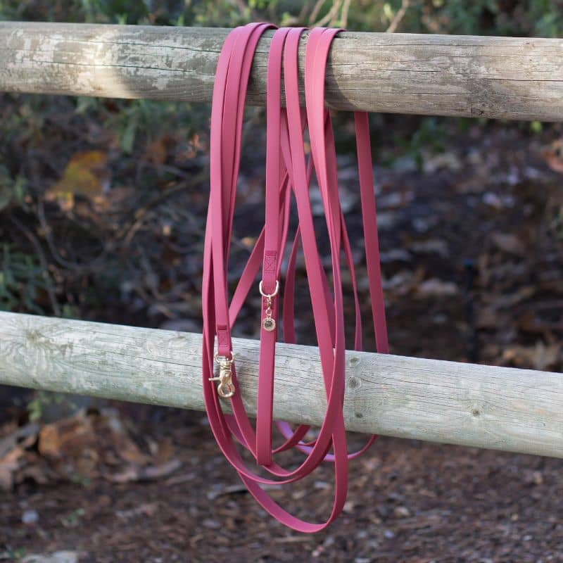 LONGE POUR CHIEN WATERPROOF - 9 MÈTRES (8 COULEURS DISPO) - Image 7