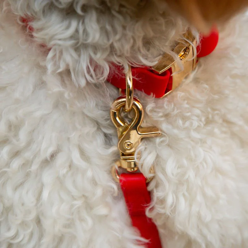 COLLIER POUR CHIEN WATERPROOF - ROUGE CERISE - Image 3