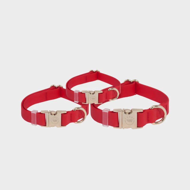 COLLIER POUR CHIEN WATERPROOF - ROUGE CERISE - Image 4