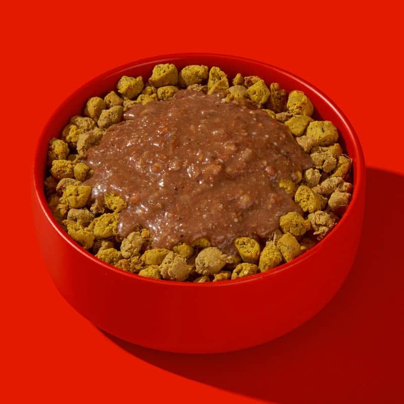 SMOOTHIE POUR CHIEN (IDÉAL TAPIS DE LÉCHAGE) - BOEUF & ÉGLANTIER - Image 3