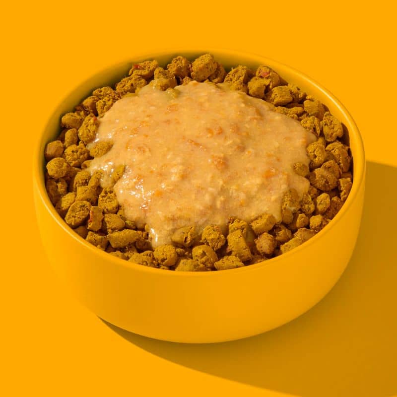 SMOOTHIE POUR CHIEN (IDÉAL TAPIS DE LÉCHAGE) - POULET & CURCUMA - Image 3
