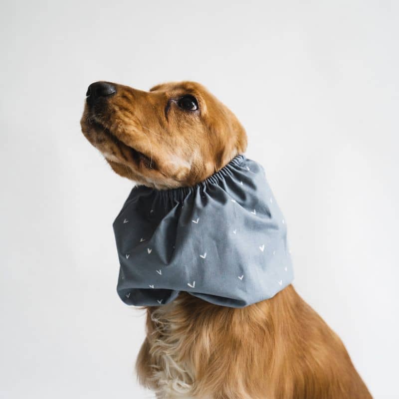 SNOOD POUR CHIEN EN COTON - BLEU MOTIFS COEURS - Image 3