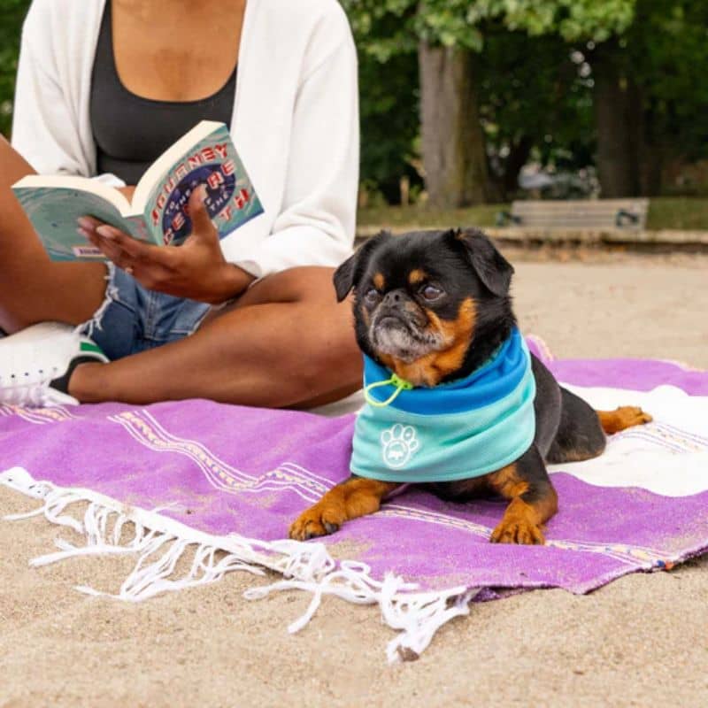 Snood rafraîchissant pour chien - Max Chill Cooling Snood - Image 2