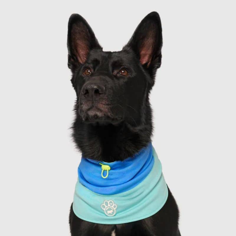 Snood rafraîchissant pour chien - Max Chill Cooling Snood - Image 5