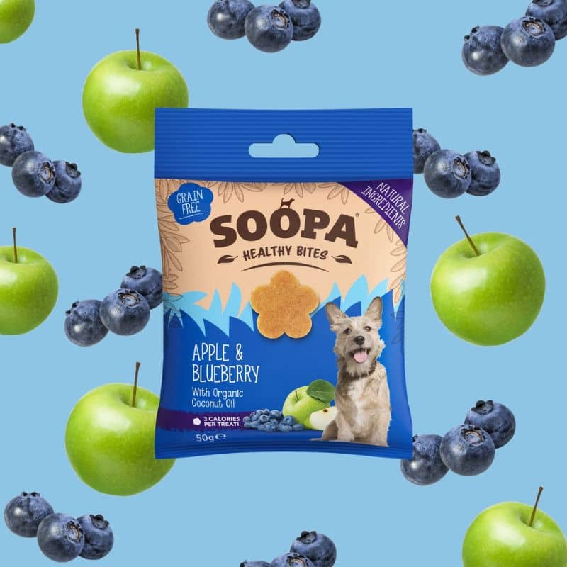 FRIANDISES D'ÉDUCATION POUR CHIEN - POMME ET MYRTILLE - Image 2