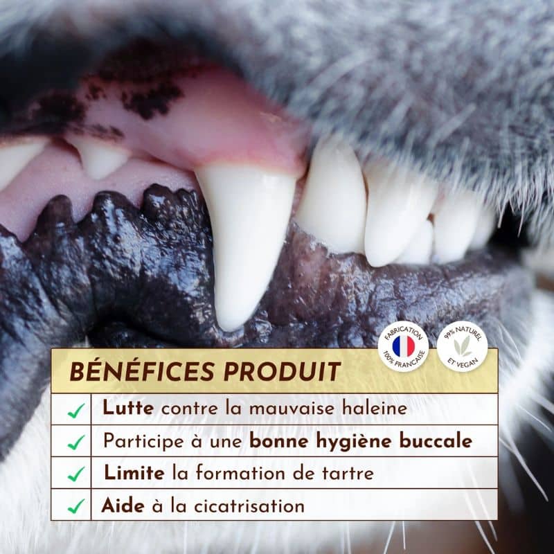 SPRAY DENTAIRE HALEINE FRAÎCHE SOUFFLE POLAIRE - POUR CHIEN - Image 2